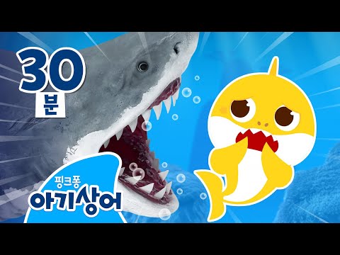 으악! 상어를 피해 도망쳐요🦈 | 아기상어 놀이 | 어린이 인기 동요 | 뚜루루뚜루🎶 | +모음집 | 핑크퐁! 아기상어 올리