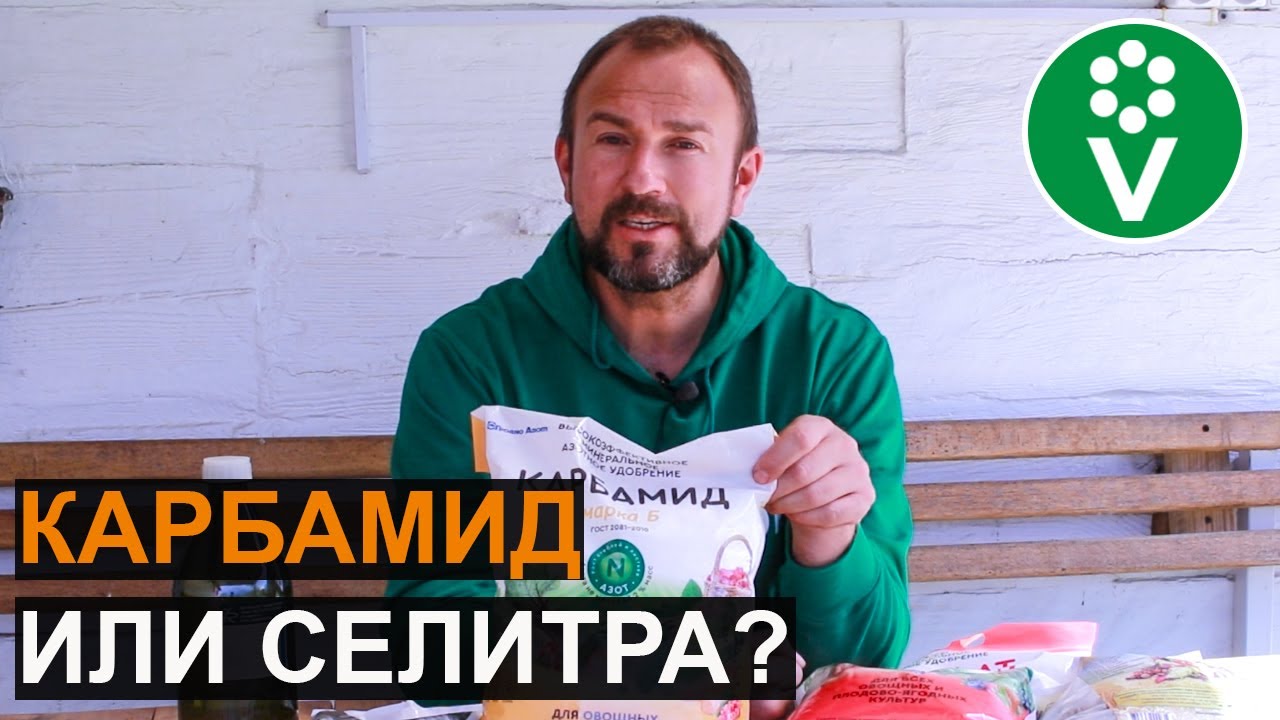 Все об азотных удобрениях: какое выбрать, как и когда вносить