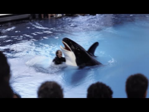 Moments Filmed Seconds Before Disaster !