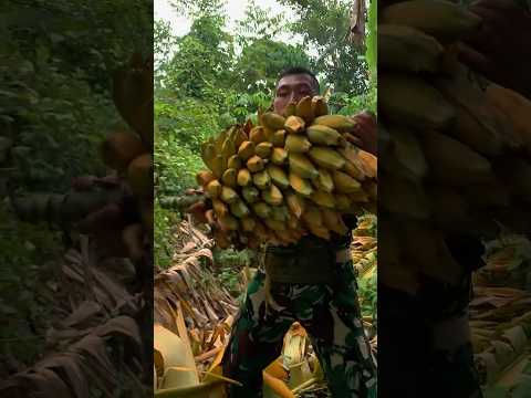 Mukbang surviving in the forest finding bananas with lots of seeds#shorts
