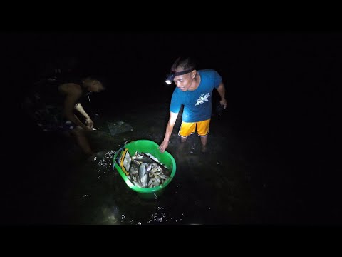 May mga Bangus na Napad-pad sa Aming lugar bago matapos  ang Taon  #fishing #fyp