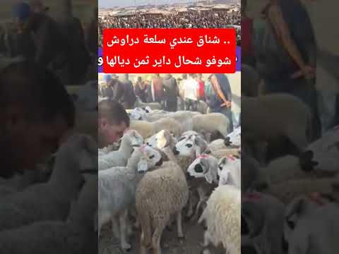 شناق عندي سلعة درازش شوفو شحال داير ثمن ديالها