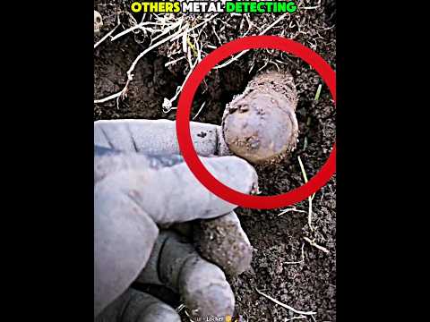 Others Metal Detecting vs The Last Man ☠️🔥 #edit #trollface #trollfaceedit #troll #metaldetecting