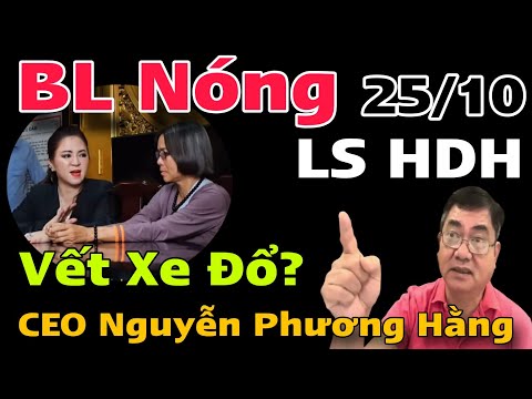 BL Nóng Bà Nguyễn Phương Hằng Cách Xử Lý Với Chị Gái Lạ “Sự Thật” Có Liên Can Đến LS Hoàng Duy Hùng?