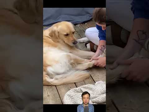 เปลี่ยนเร็ว