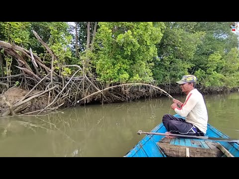 Panen strike hampir di setiap spot