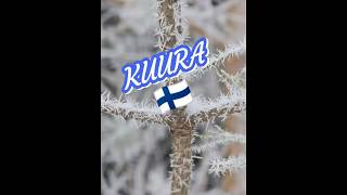 KUURA czyli szron 🇫🇮#zimawFinlandii #śnieg #szron #kuura #kuura #huurre