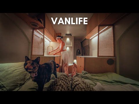 Cozy Roadtrip on the Oregon Coast (with cats)