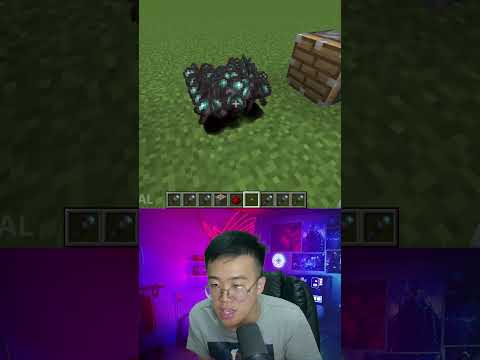 Inilah Yang Terjadi Kalau Spyglass Digabungkan Dengan Netherite #shorts