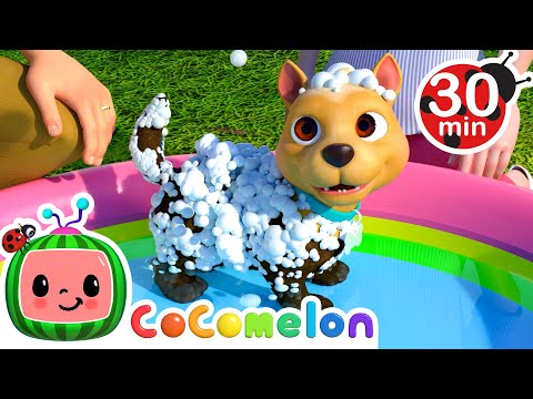Bingo's Bath Song and More! | Learning Healthy Habits | CoComelon Nursery Rhymes & Kids Songs