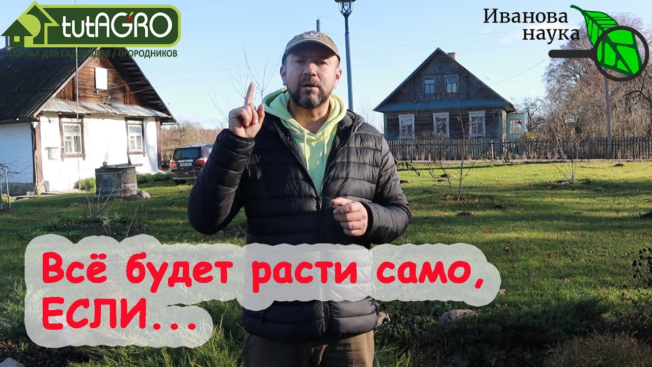 Почему у одних на участке всё болеет, а у других растет само по себе? Ответ очень простой!