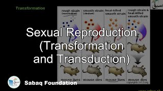 Sexual Reproduction (Transformation and Transduction)