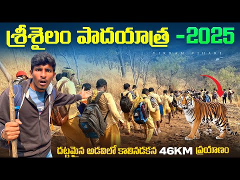 వెంకటాపురం to శ్రీశైలం పాదయాత, 46km దట్టమైన అడవిలో నడవాలి || 46km Srisailam Padayatra🙏🙏🙏