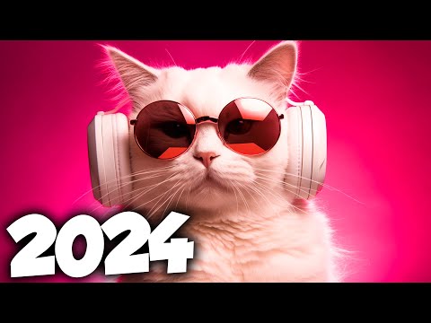 MÚSICA ELETRÔNICA 2024 🔥 AS MÚSICAS ELETRÔNICAS MAIS TOCADAS 🔥 Alok, Vintage Culture & David Guetta