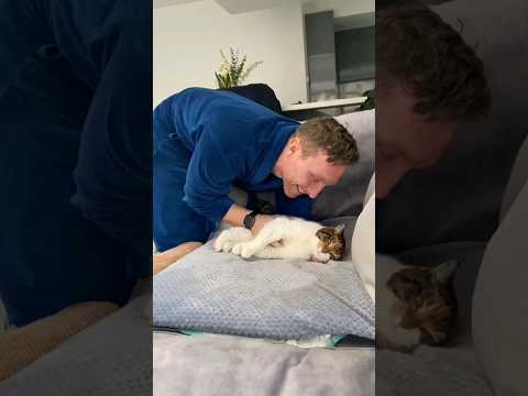 23 Year Old Cat Loves Cuddles With Her Dad