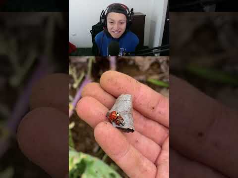 Lo mas normal que veras el día de hoy!! #shorts