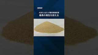 【猫の腎臓の負担減らす】腸内環境整える素材 #shorts