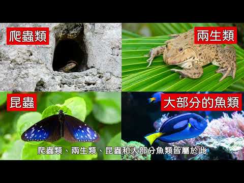 5下ch3動物適應環境的方式 - YouTube(2分02秒)