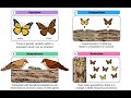 Natural Selection and Evolution Concepts