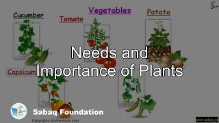 Needs and Importance of Plants