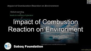Impact of Combustion Reaction on Environment