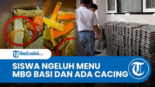 Viral Video Nasi MBG Basi di SMAN 3 Selong, Siswa Keluhkan Kualitas Makanan