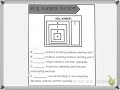 Understanding Scientific Notation and Number Types
