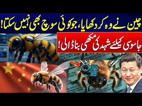 Honey Bee or Spy? - China's Technology Surprised Whole World - Exclusive Video - 24 News HD