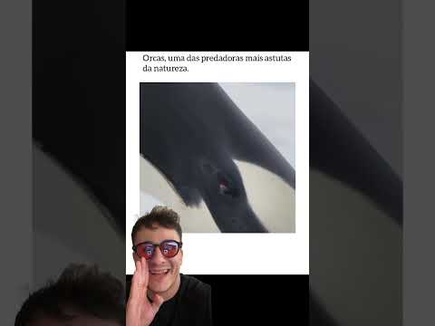 🚨Por isso tenho medo de orcas #enem2024 #enem #enemmedicina #física #biologia #professor #animais