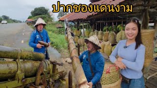 #เที่ยวลาวใต้ เมืองปากชองแดนนงาม ในช่วงนี้ทุเรียนพื้นบ้านยังมีมาก หน่อไม้ใหญ่ #สาวลาว แม่ค้าทุเรียน