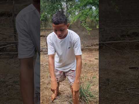 Vou buscar os potes #agro#roça #videlviral