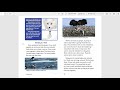 Arctic Animal Adaptations and Ecosystem