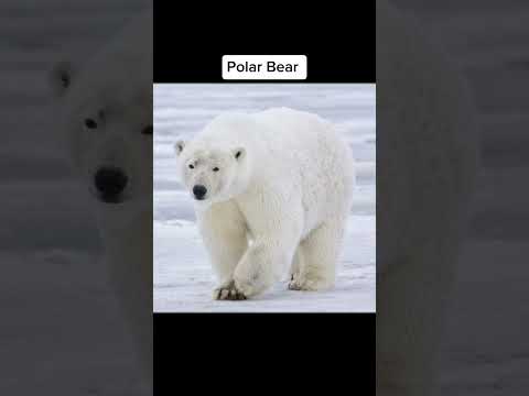 Things Bigger Than You Think