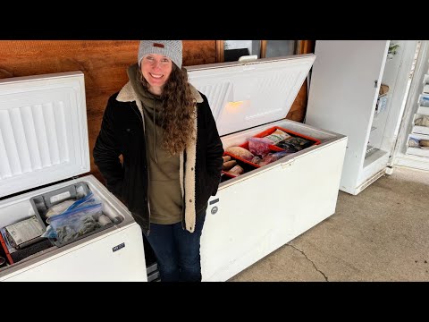 Giant Four Freezers Tour | Super Organized | Enough for a Year!