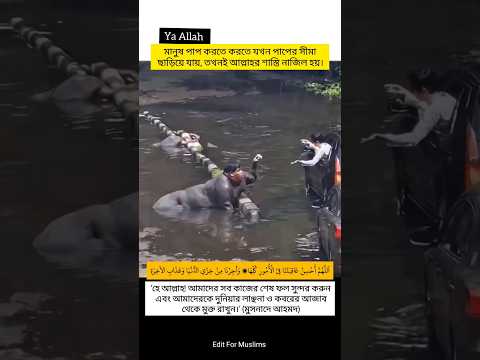 পাপ যখন সামী ছাড়িয়ে যায় - Edit For Muslims #respect #explore #shorts #quran #surah #status #islam