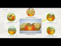 Exploring 10D Plate Tectonics and Landforms