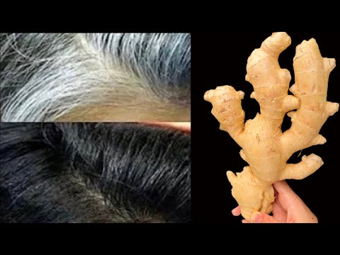 Selbst mit 65 Jahren noch schwarzes und dichtes Haar. Magisches Ingweröl für verrücktes Haarwachstum