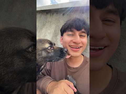 Creo Que Adopté Un Coyote