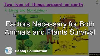 Factors Necessary for Both Animals and Plants Survival
