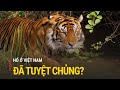 Tiger Conservation in Vietnam