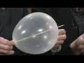 Balloon Skewer Experiment Concepts