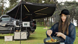 Her ASMR solo camping with New Tent & Oven by the Lake | Shish-Kebab and Shortcrust pie cooking