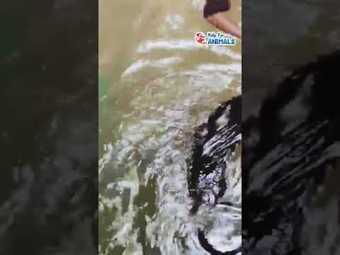 സൂക്ഷിച്ചു നോക്കിയാല്‍ ഒരാളെകാണാം Amezing indian rock python rescue From in the well