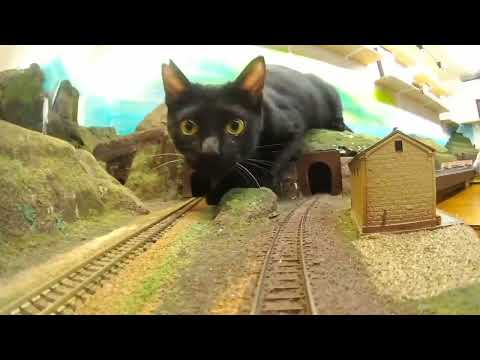 Would you still want to take this train if this happened?