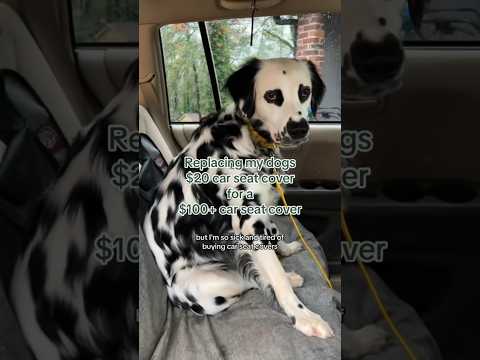 $20 dog car seat vs $100+ dog car seat cover?