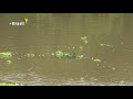 Problemas de Água no Rio Guandu