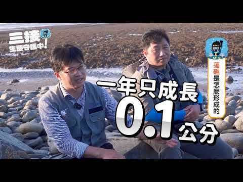 第三接收站生態守護中！跟著中油一起來認識藻礁生態