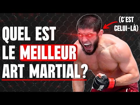 Quel est l'Art Martial ULTIME pour dominer en MMA ?