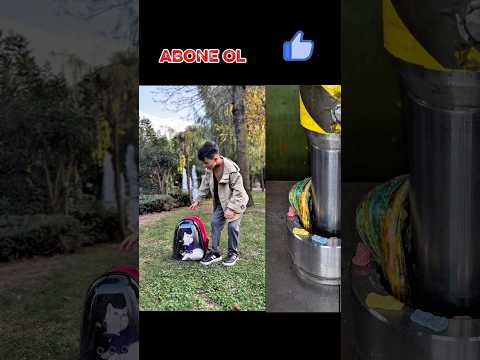 Eyüp kedi buldu eve götürdük #shorts #viralvideo #trending #keşfet #youtube