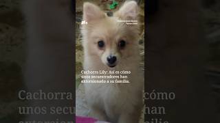 Extorsionan a familia secuestrando a su perro